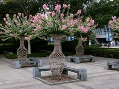 -杭州城北体育公园