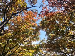 -三块石国家森林公园