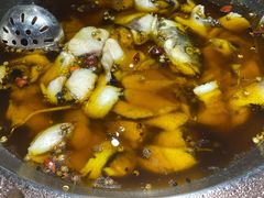 -雲蜀龙阁·金牌水煮鱼(方庄店)