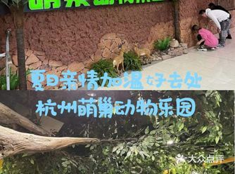 夏日为亲情加温和萌萌小动物们来一次亲密接触吧!