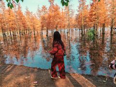 -白鹭湾湿地公园