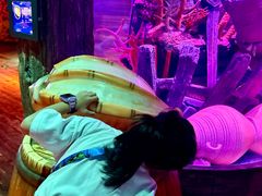 -沈阳海洋探索中心