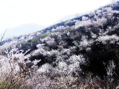 -定都峰
