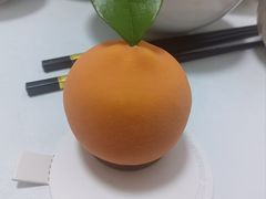 -TD66高山铁皮石斛养生茶饮
