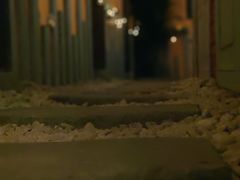 -花·fleur古董西餐厅(西城夜未央店)