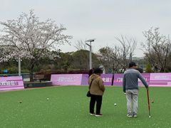 -高东镇樱花园