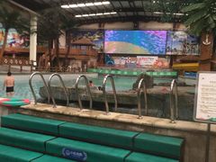 -南宫温泉水世界