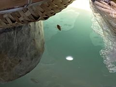 -火宴山自助火锅(明园店)