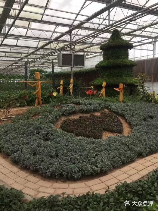 扬州西江生态园植物图片