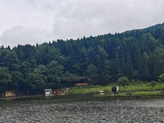 -武陵山森林公园