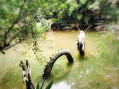-汇龙潭