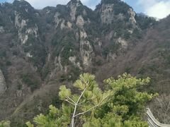 -王顺山国家森林公园