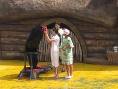 -秦皇岛乐岛海洋王国