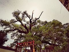 -新安江山水画廊风景区