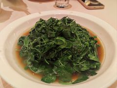 酒香金花菜-得月楼·省级非遗·传统苏帮菜(观前店)