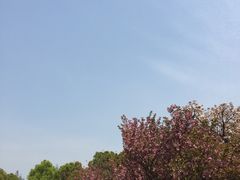 -上海第二工业大学(金海路校区)