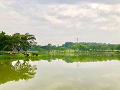 -东莞植物园
