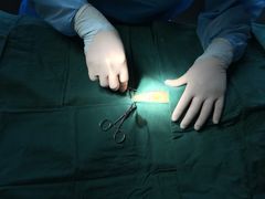 -安安宠医·安宠宠物医院