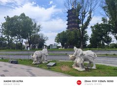 -葛仙湖公园