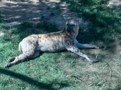 -北京野生动物园