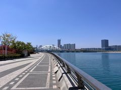 -星光岛
