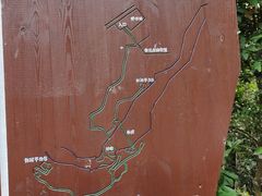 -海南热带雨林国家公园吊罗山景区