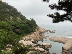-青岛沙子口国家中心渔港