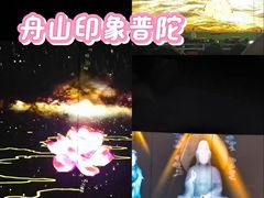 -印象普陀