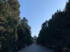 -洪记白水羊头(天坛店)