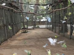 -呀路古热带植物园