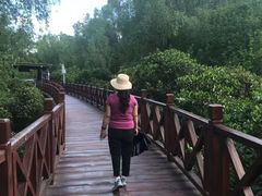 -大亚湾红树林城市湿地公园