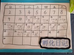 -伊顿幼儿园(济南大地锐城校区)