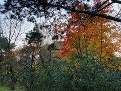 -长春市南湖公园