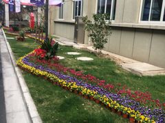 -上海市松江区中心医院