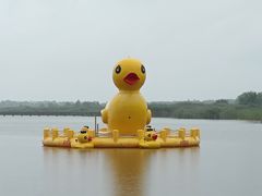 -野鸭湖国家湿地公园