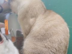 -藏猫猫咖啡主题馆(中央大道店)