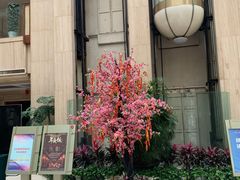 -嘉莱特和平国际酒店自助餐