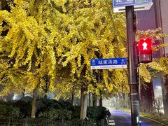 -新疆阿力烧烤