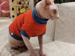 -藏猫猫咖啡主题馆(中央大道店)