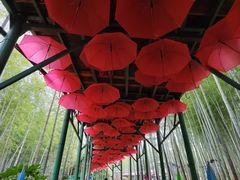 -陶祖圣境风景区