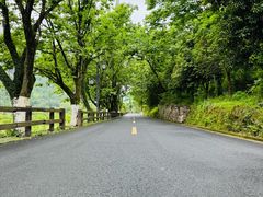 -楠溪江风景名胜区