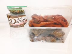 -钱商茉莉香鸭颈王(浑南店)