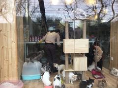 -黑八私房老北京炸酱面