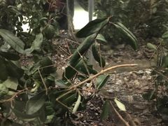 -上海昆虫博物馆