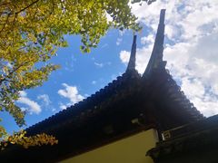 -苏州上方山国家森林公园