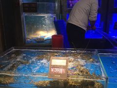 水产区-徐记海鲜(曲江南湖店)