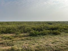 -北海金海湾红树林生态旅游区