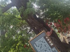 -水峪民俗村