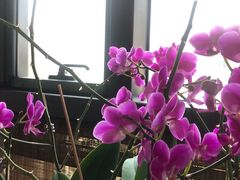 -瓦库茶馆17号(海汇港店)