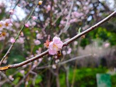 -草庵摩尼教遗址公园